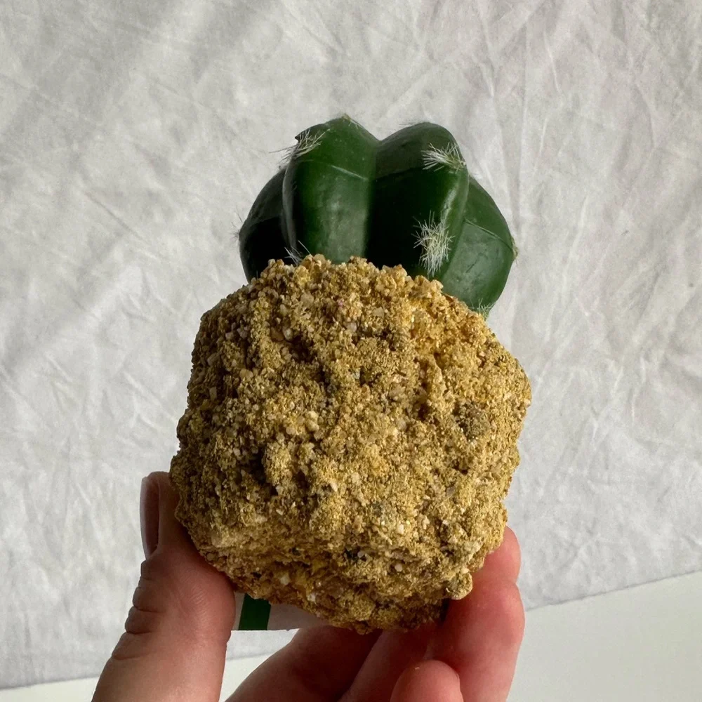 Artificial Round Cactus with Rock Base – Realistic Faux Plant for Home & Office